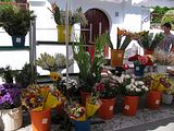 Mallorca_2014-05-03-11-23-47_1