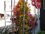 Mallorca_2014-05-03-11-24-16_1