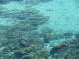 Mallorca_2014-05-03-11-53-30_1