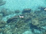Mallorca_2014-05-03-11-53-39_1