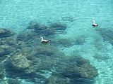 Mallorca_2014-05-03-11-53-48_1