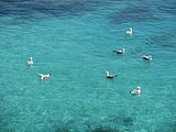 Mallorca_2014-05-03-11-54-52_1