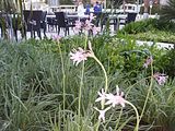Mallorca_2014-05-03-20-29-27_1