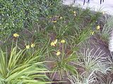 Mallorca_2014-05-03-20-29-47_1