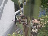 Mallorca_2014-05-04-10-09-33_1