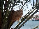 Mallorca_2014-05-04-16-26-14_1