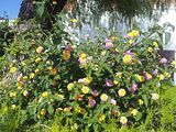 Mallorca_2014-05-04-17-22-57_1