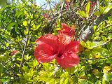 Mallorca_2014-05-04-17-23-17_1