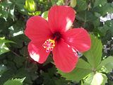 Mallorca_2014-05-04-17-23-29_1