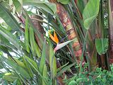 Mallorca_2014-05-05-12-24-40_1