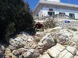 Mallorca_2014-05-05-13-43-42_1