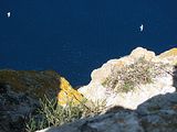 Mallorca_2014-05-05-13-45-25_1