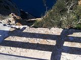 Mallorca_2014-05-05-13-48-31_1