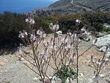 Mallorca_2014-05-05-14-02-38_1