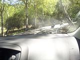 Mallorca_2014-05-05-15-06-05_1