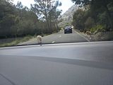 Mallorca_2014-05-05-15-29-01_1