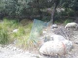 Mallorca_2014-05-05-15-29-06_1