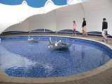 Mallorca_2014-05-07-12-14-38_1
