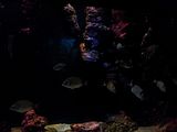 Mallorca_2014-05-07-12-20-26_1
