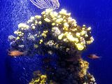 Mallorca_2014-05-07-12-21-34_1