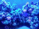 Mallorca_2014-05-07-12-22-10_1
