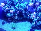 Mallorca_2014-05-07-12-22-44_1