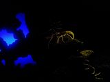 Mallorca_2014-05-07-12-25-37_1