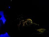 Mallorca_2014-05-07-12-25-52_1