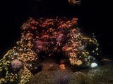 Mallorca_2014-05-07-12-27-24_1