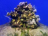 Mallorca_2014-05-07-12-28-41_1