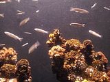 Mallorca_2014-05-07-12-31-16_1