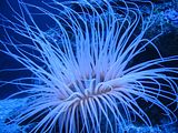 Mallorca_2014-05-07-12-32-40_1