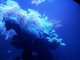 Mallorca_2014-05-07-12-34-16_1
