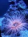 Mallorca_2014-05-07-12-34-36_1