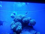 Mallorca_2014-05-07-12-35-44_1