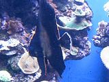 Mallorca_2014-05-07-12-36-13_1