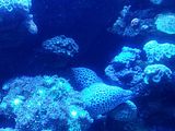 Mallorca_2014-05-07-12-36-48_1
