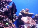 Mallorca_2014-05-07-12-37-55_1