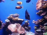 Mallorca_2014-05-07-12-38-01_1