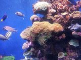 Mallorca_2014-05-07-12-38-21_1