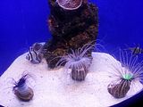 Mallorca_2014-05-07-12-40-44_1