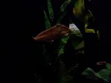 Mallorca_2014-05-07-12-40-58_1