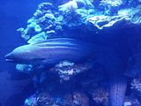 Mallorca_2014-05-07-12-43-39_1
