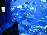 Mallorca_2014-05-07-12-44-34_1