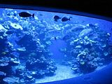 Mallorca_2014-05-07-12-45-32_1