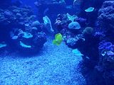 Mallorca_2014-05-07-12-46-19_1