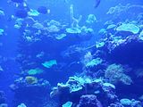 Mallorca_2014-05-07-12-46-40_1