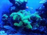 Mallorca_2014-05-07-12-49-29_1