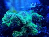 Mallorca_2014-05-07-12-49-36_1