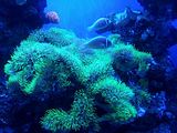 Mallorca_2014-05-07-12-49-40_1